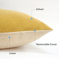 Set of 2 Sydney Velvet/Linen Throw Pillow Cover | 20" x 20"