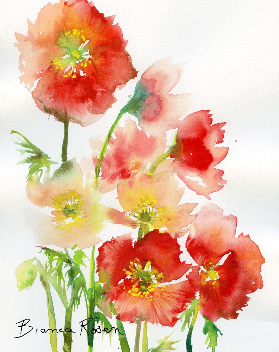 Bianca Rosen Cover | Poppies | 20"x 20"