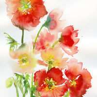 Bianca Rosen Cover | Poppies | 20"x 20"