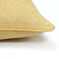 Set of 2 Gorgeous Chenille Throw Pillow Micro Piping | 20" x 20"