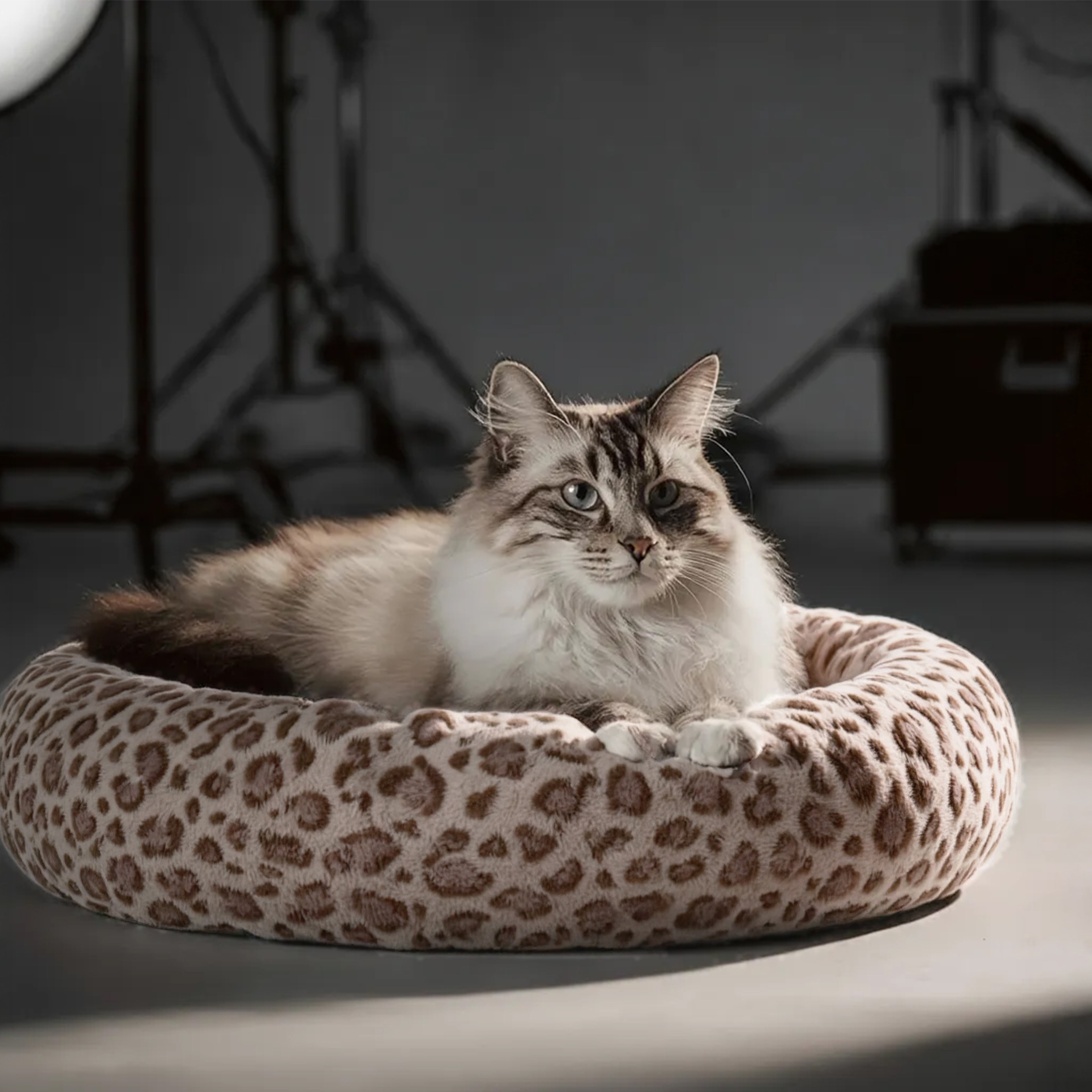 Candy Nest Ultra Soft Plush Donut Pet Bed