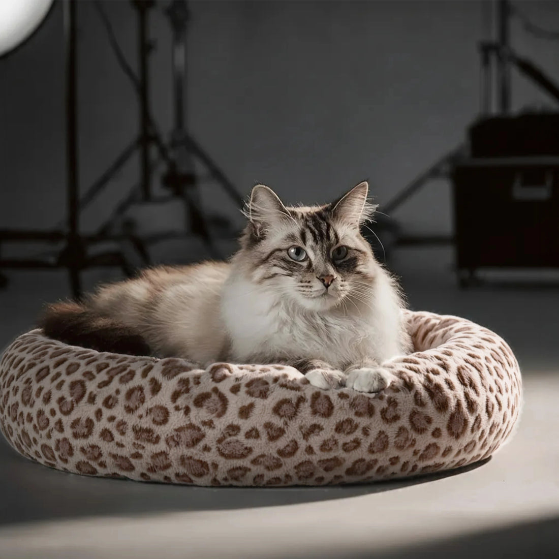 Candy Nest Ultra Soft Plush Donut Pet Bed