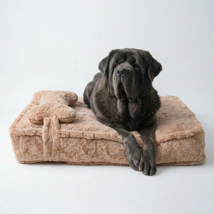 Cloud Nest Plush Pet Bed