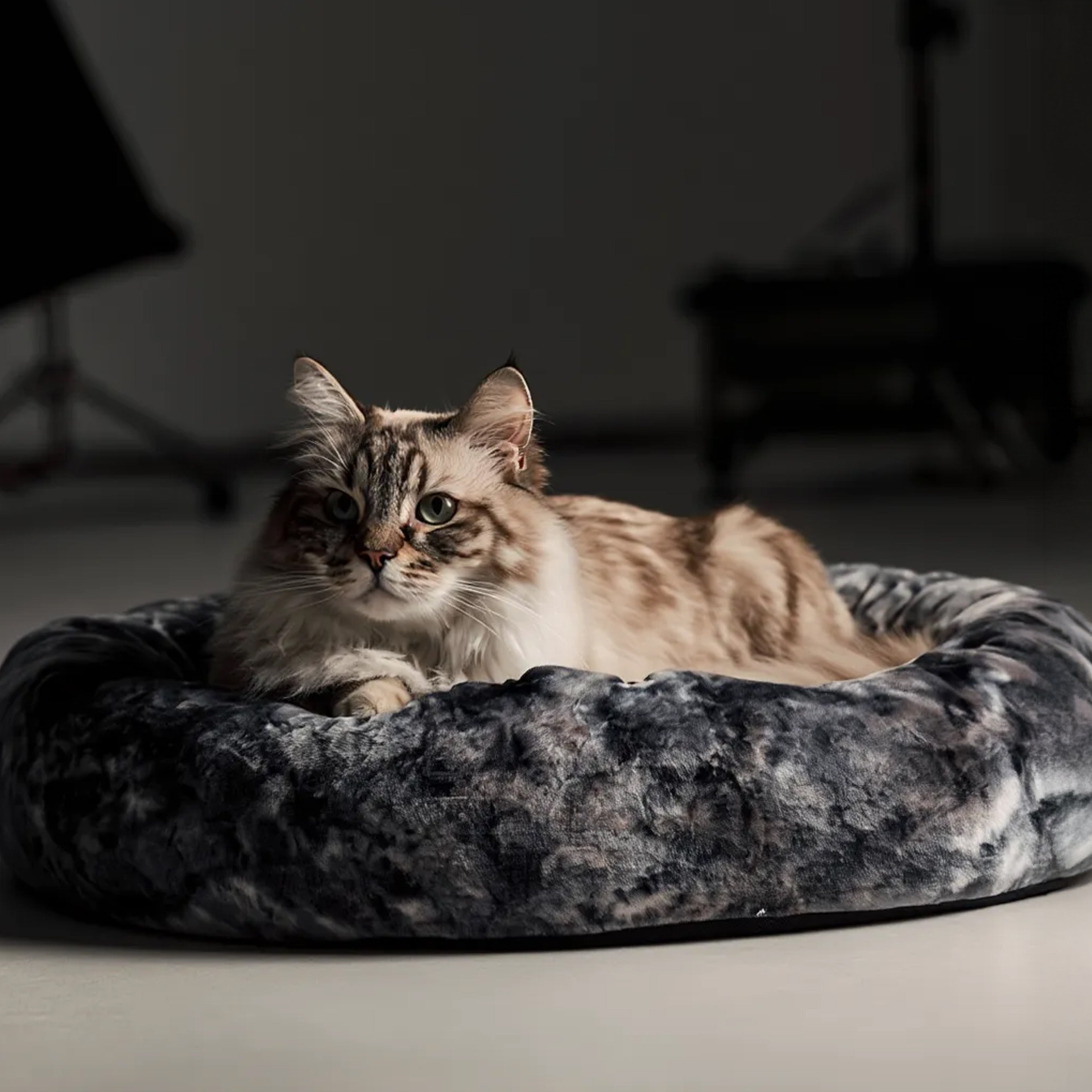 Candy Nest Ultra Soft Plush Donut Pet Bed