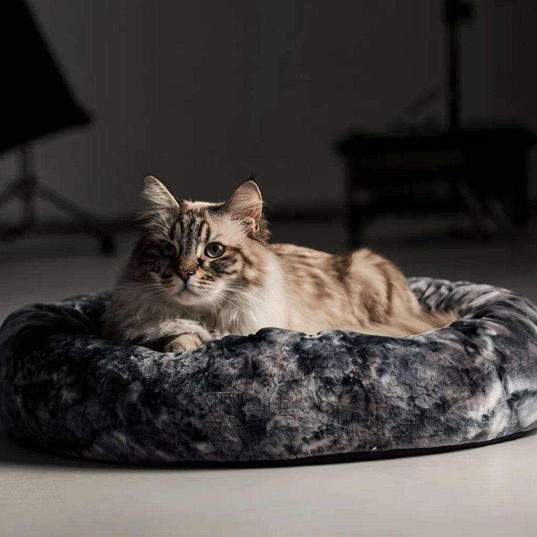 Candy Nest Ultra Soft Plush Donut Pet Bed