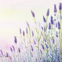 Bianca Rosen Cover | Lavender | 14"x 20"